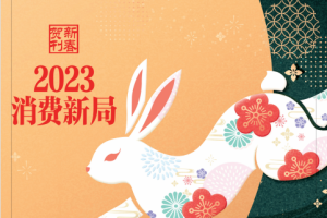 中国经济周刊 2023年第1-2期合刊 pdf