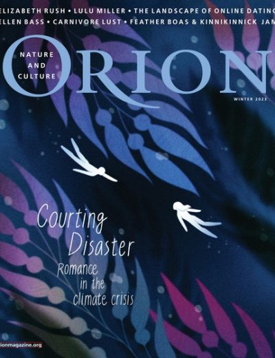 Orion – Winter 2023 – 2023冬季