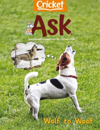 Ask – 202402