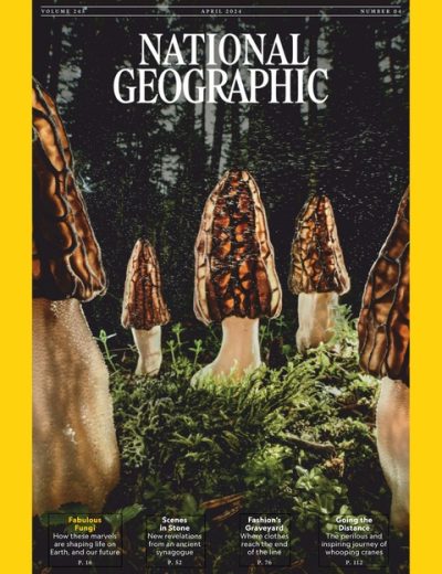 National Geographic USA – 202404