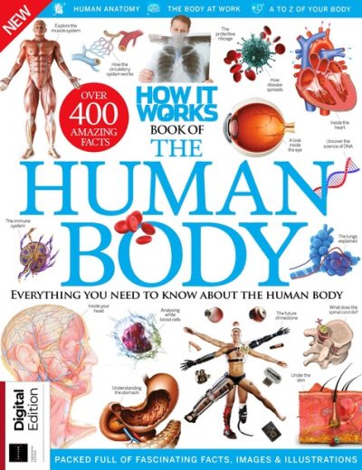 How It Works Book of the Human Body – 2024